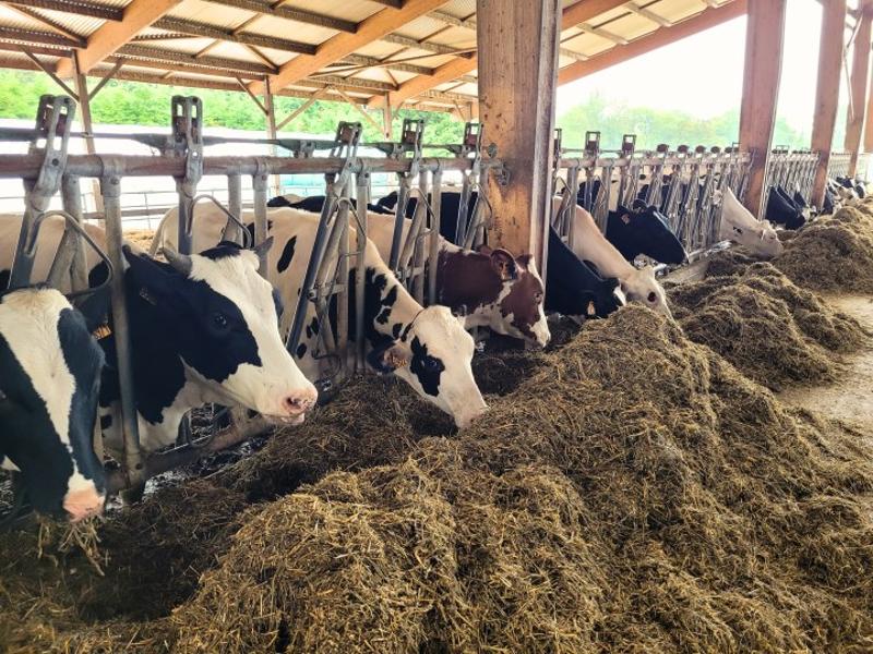 Visite de la ferme de Viltain_Saclay