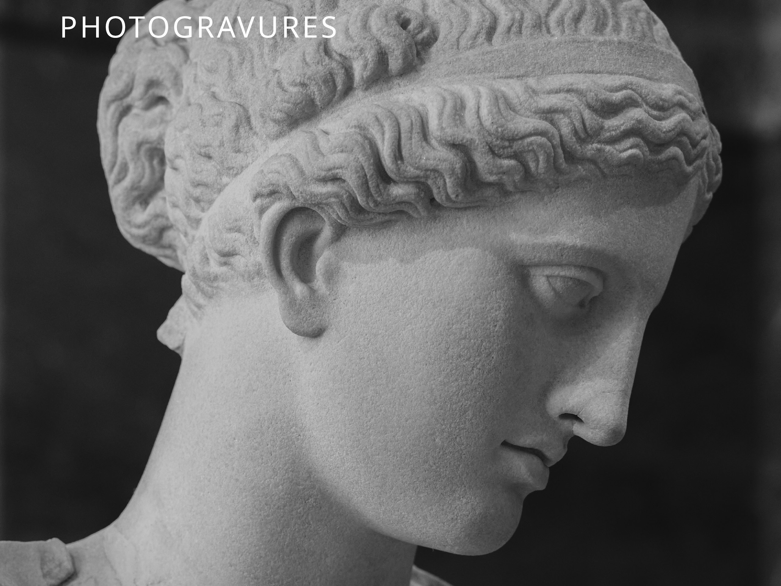 DNR Venus d'Arles ot