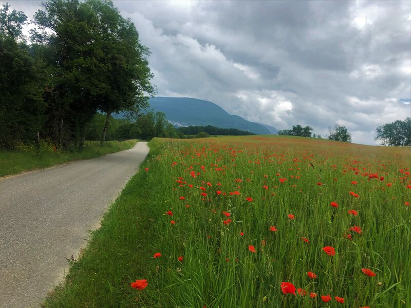 Randonnée Chapelle Sainte Anne
