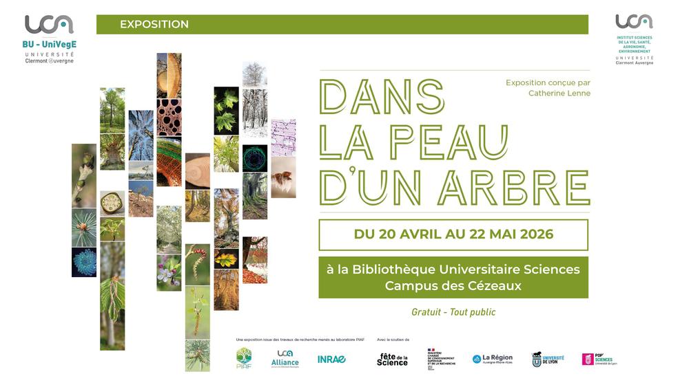 Dans la peau d'un arbre | Expo