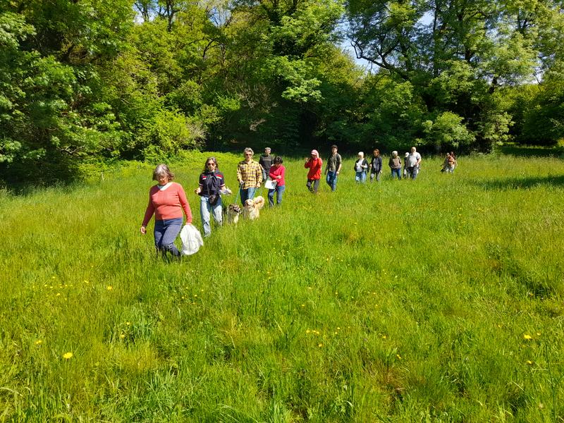 Sur les pas des éleveurs et des troupeaux