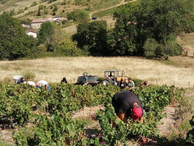 Domaine des Treilles