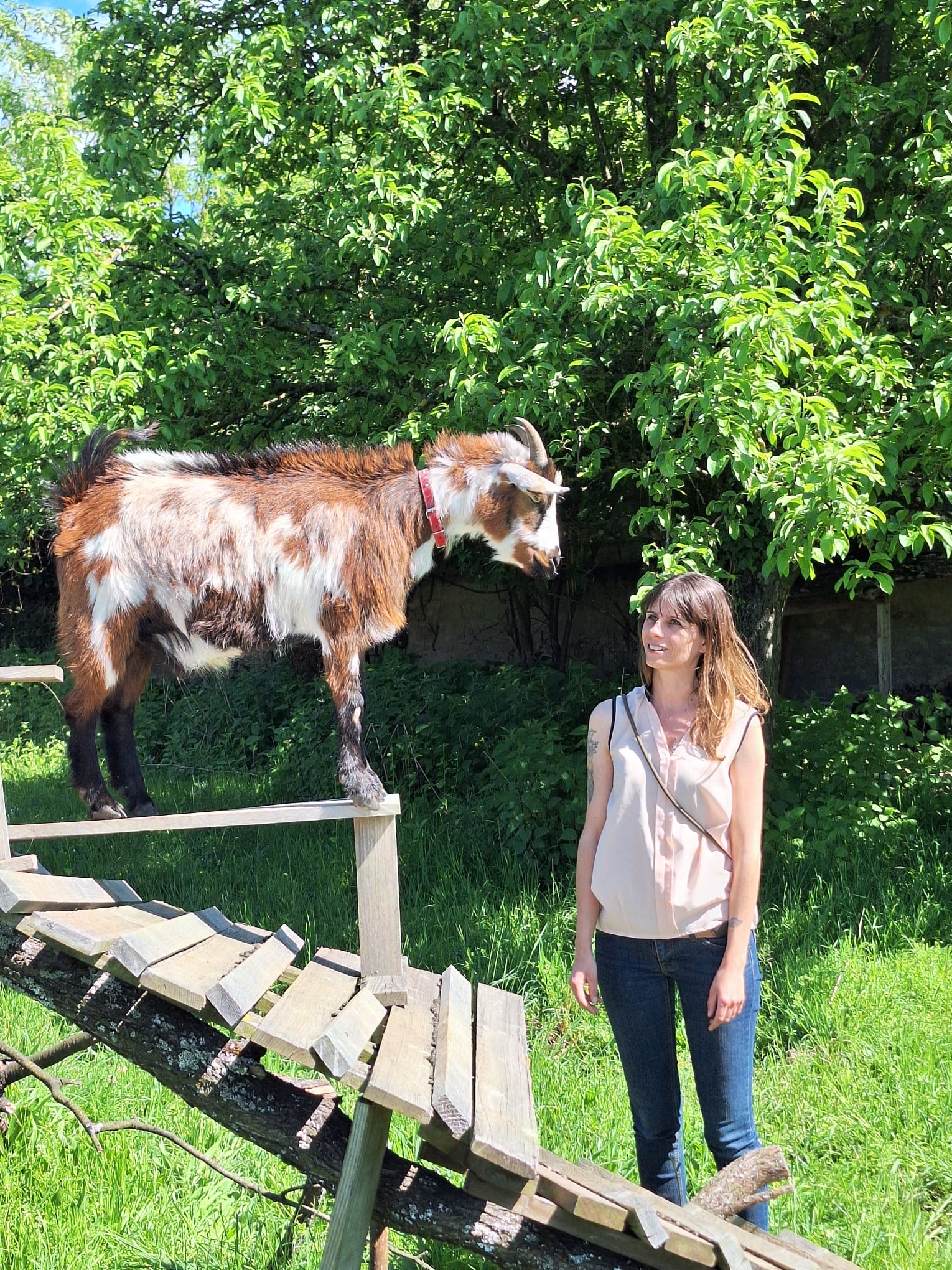 Visite de la ferme d'animation