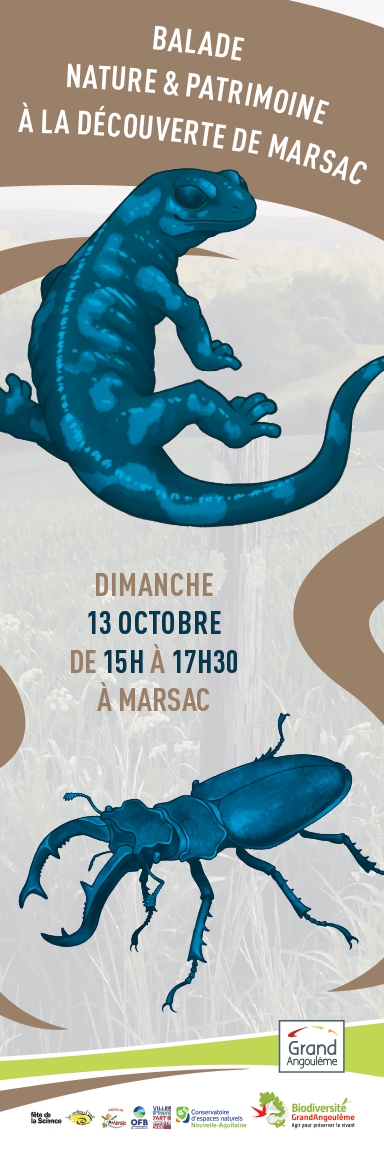 Balade nature et patrimoine : Les coteaux de Marsac et les bords de Charente