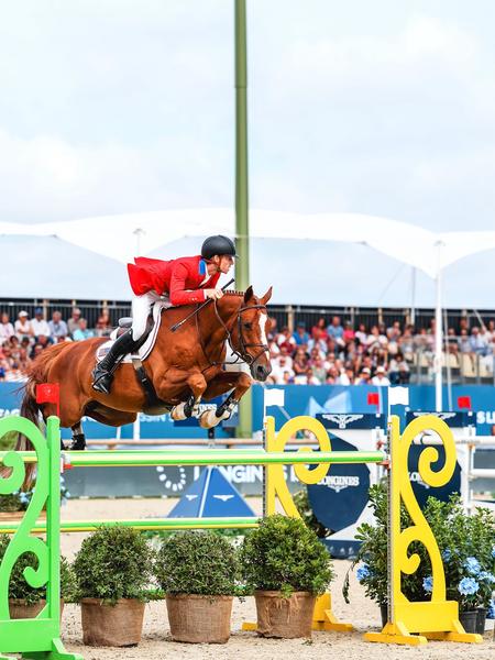 Concours de sauts - Jumping août_Gassin