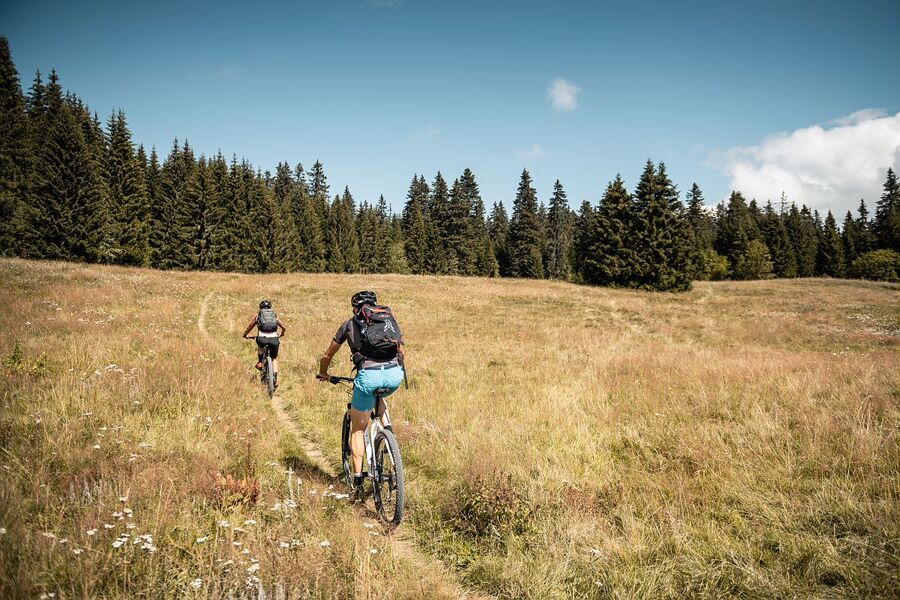 Site labellisé VTT/FFC