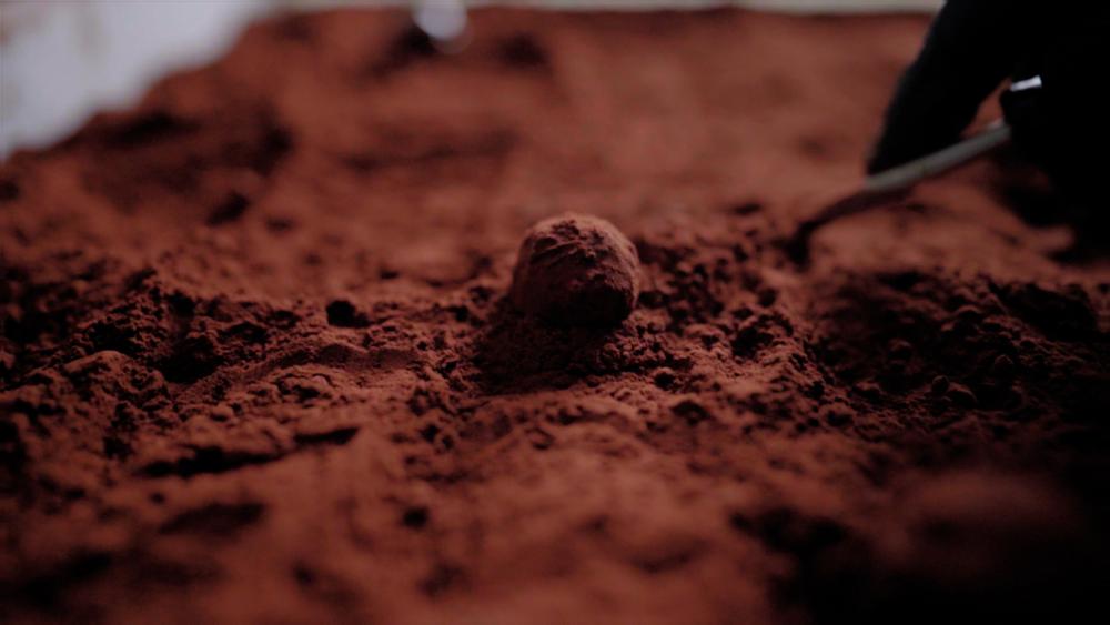 Une truffe au chocolat roulée dans du cacao.