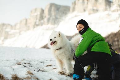 Un des chiens de meute de notre activité cani rando; ici , un chien samoyède