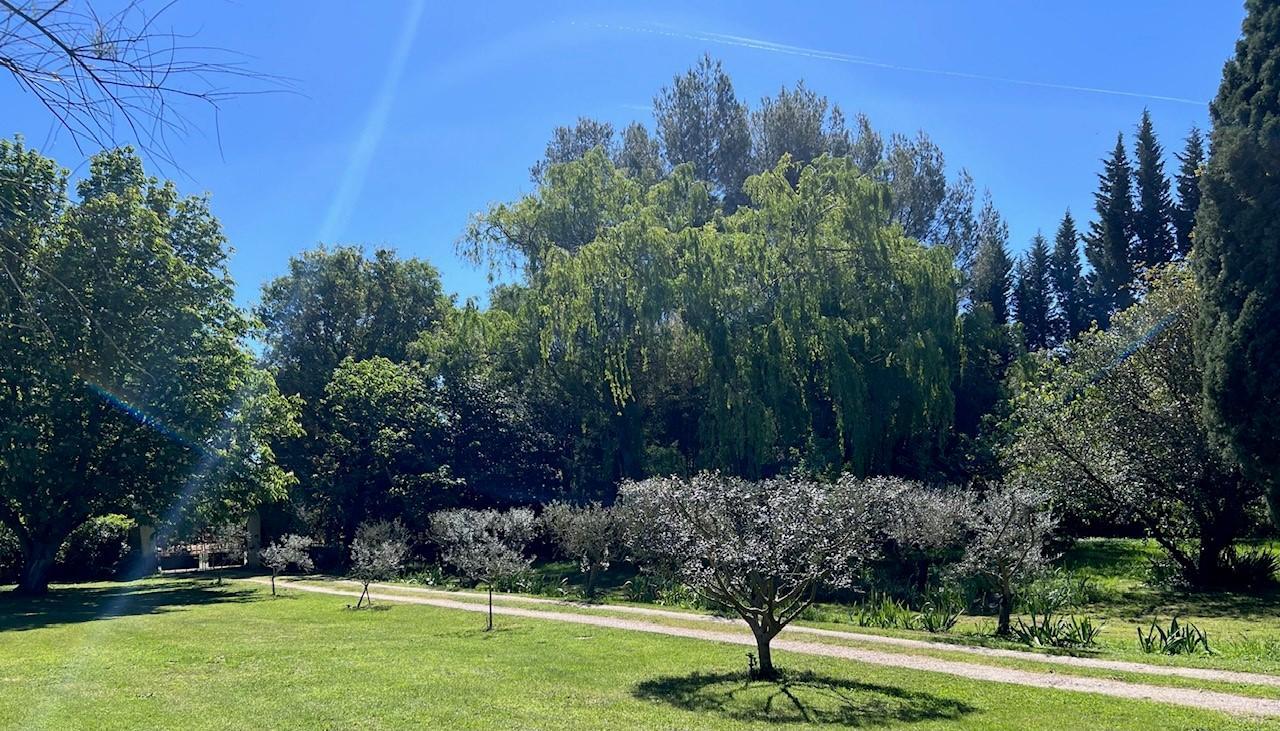 Les Lavandes, Saint-Rémy-de-Provence - photo 8