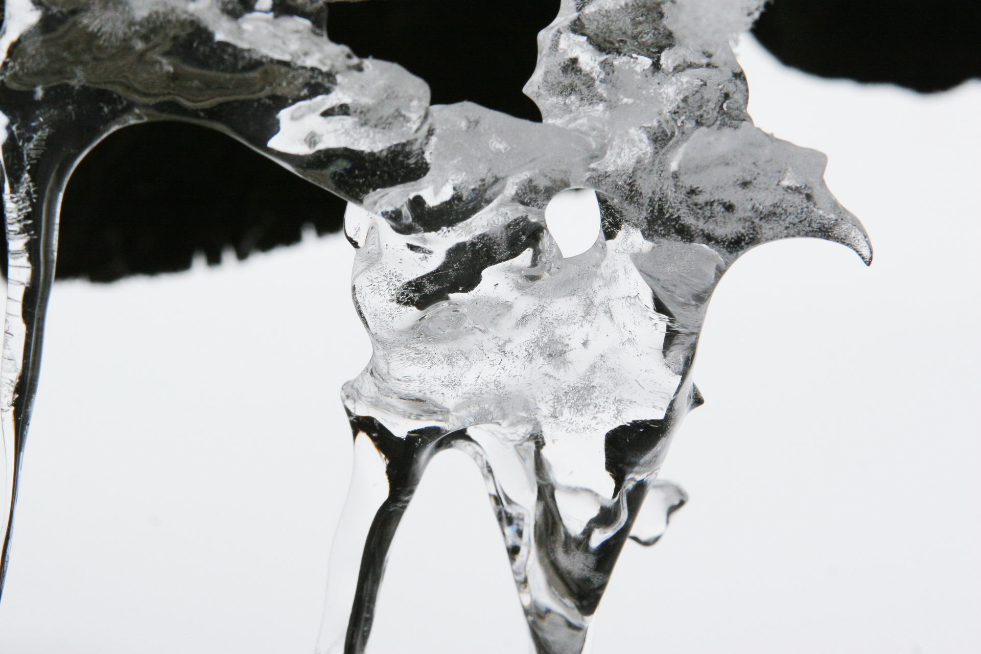 Exposition "De Glace" de Jacques Richard