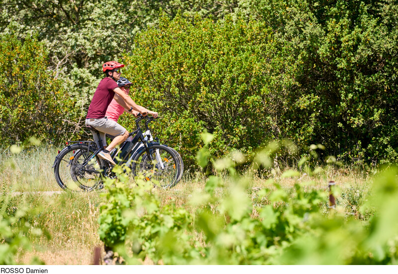 Itinéraire Gravel n°30 - Entre vignes et oliviers