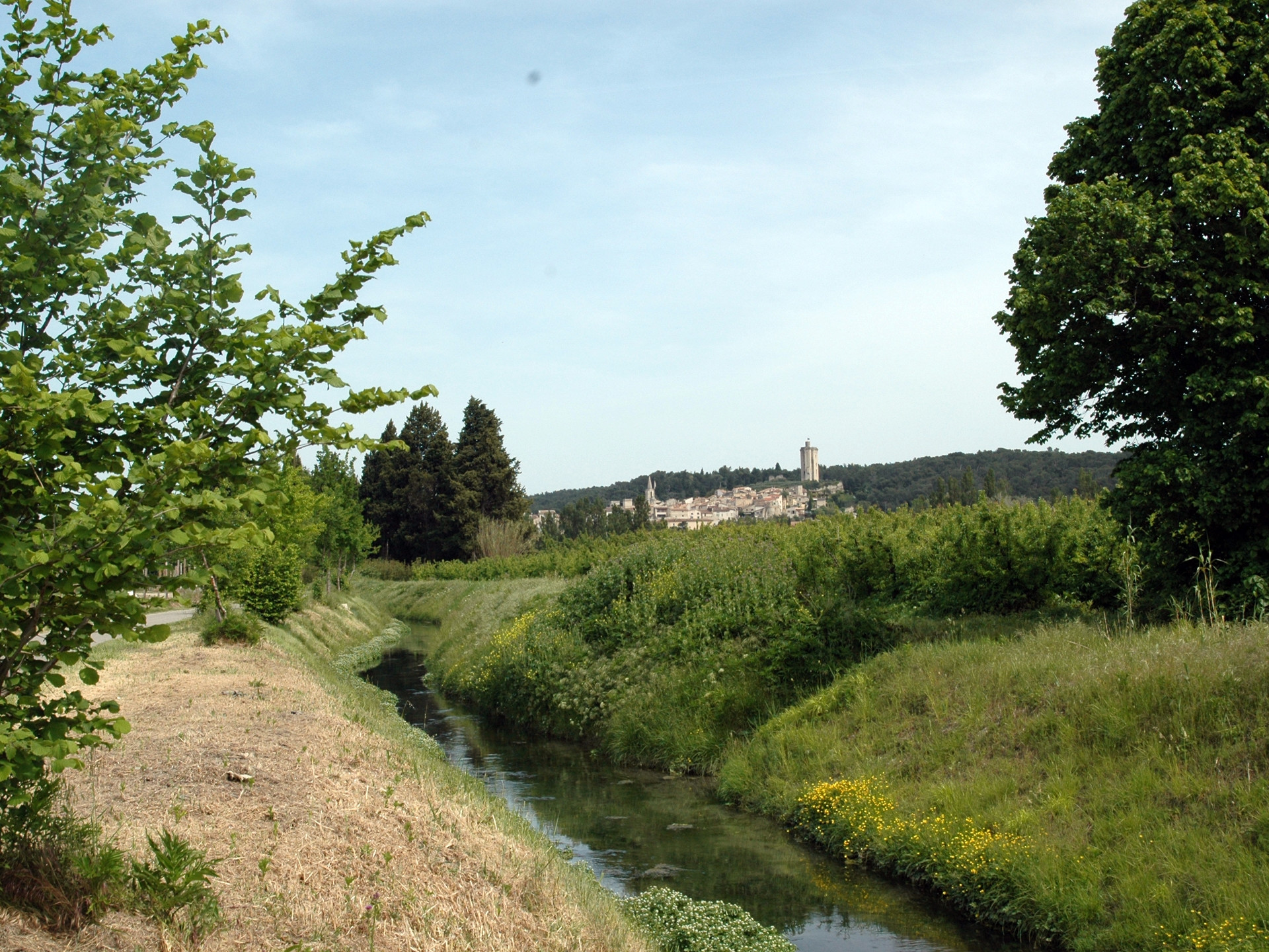 Barbentane : Vert et eau