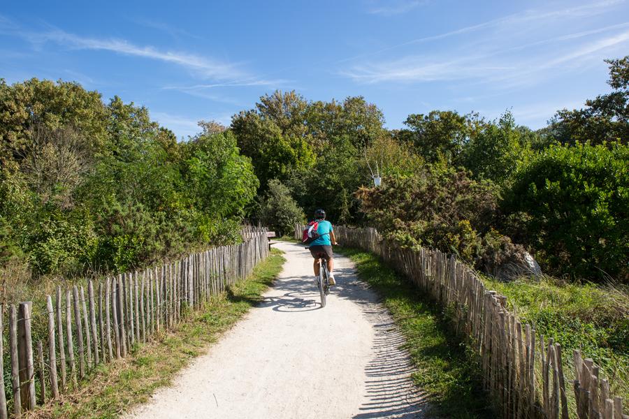 Vélo dans une allée de l'éco-parc des carrières René-Dumont 