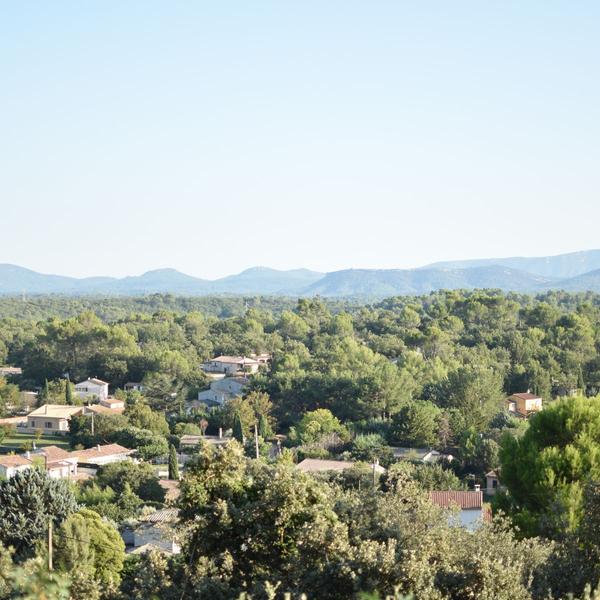 Amour, Vignes & Vélo_Saint-Maximin-la-Sainte-Baume