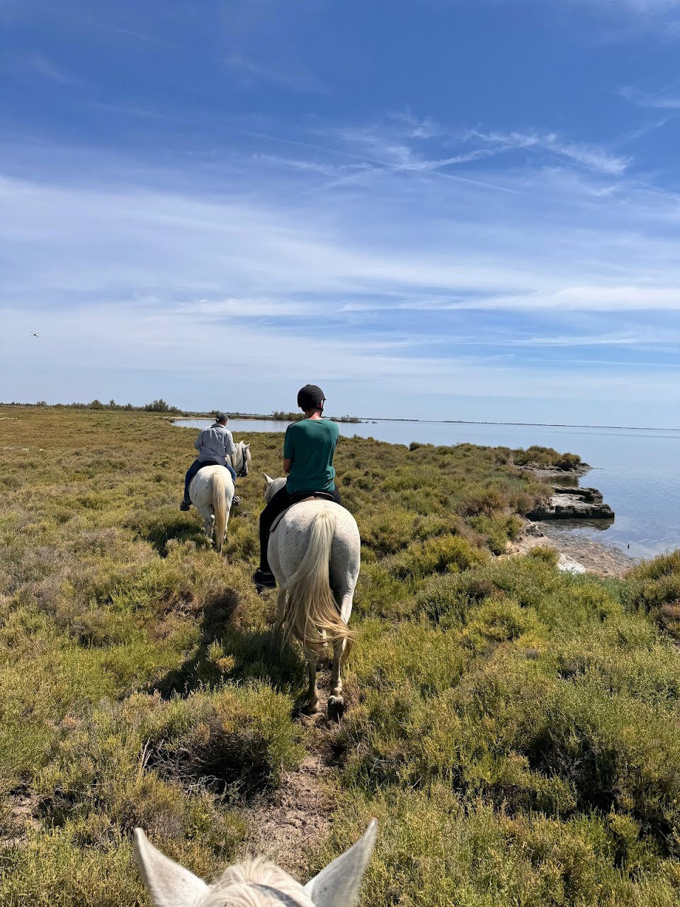 0c0d419bd0aa2e7ef0c5687eda488fe2