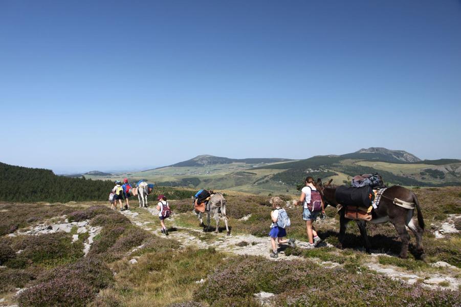 Massif Central Randonnées +