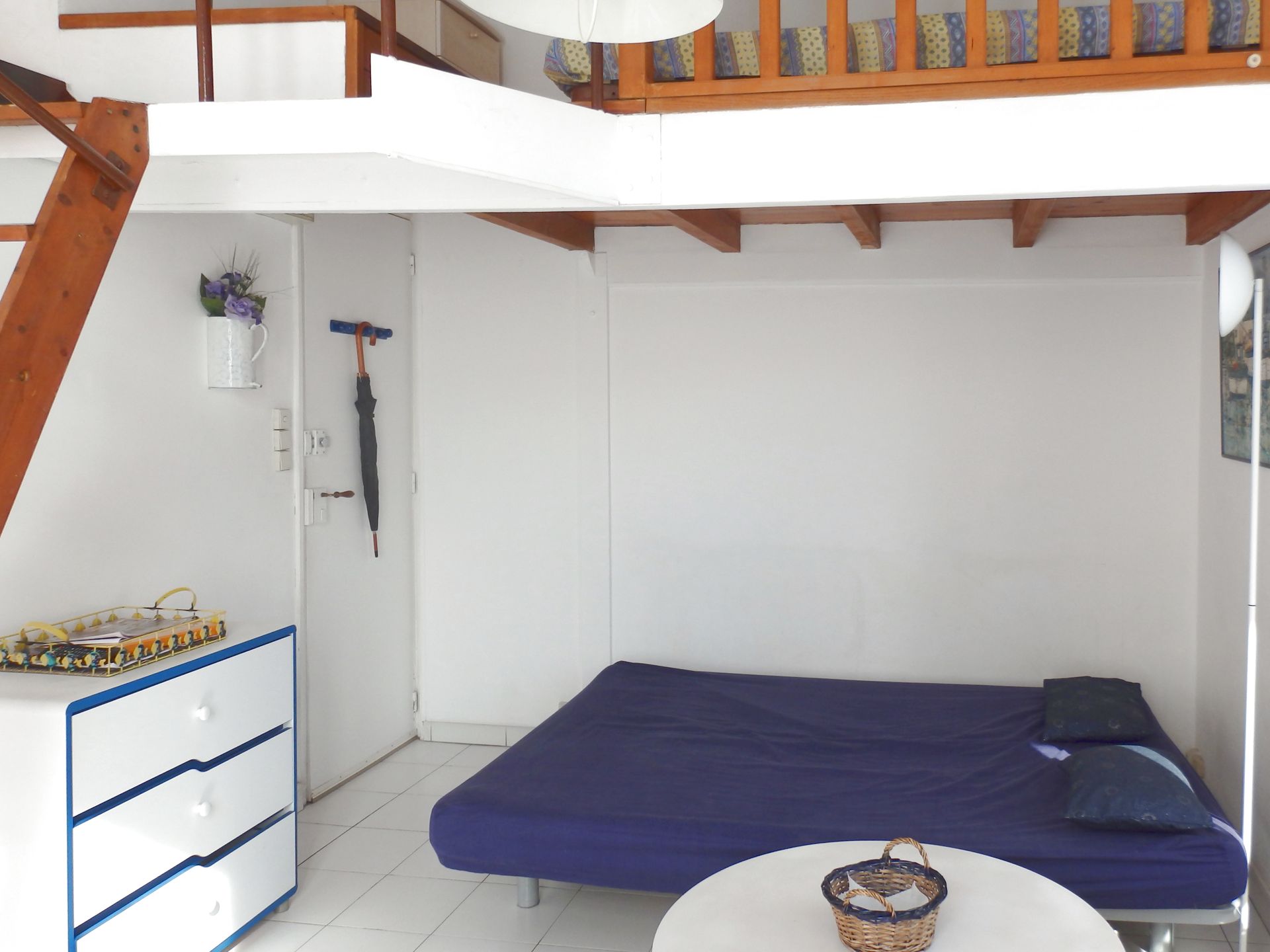 Anemone, Cassis - photo 8