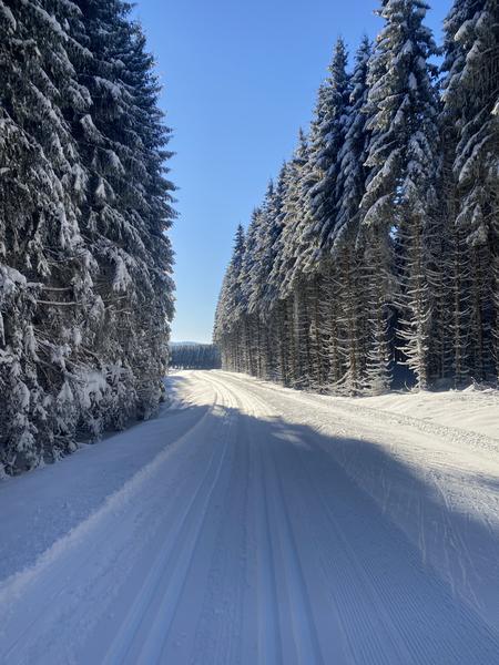 Ski nordique sur le Site de Lachat_Haut Valromey