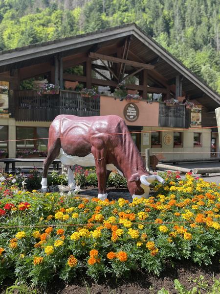 Visite commentée de la Maison du Fromage Abondance