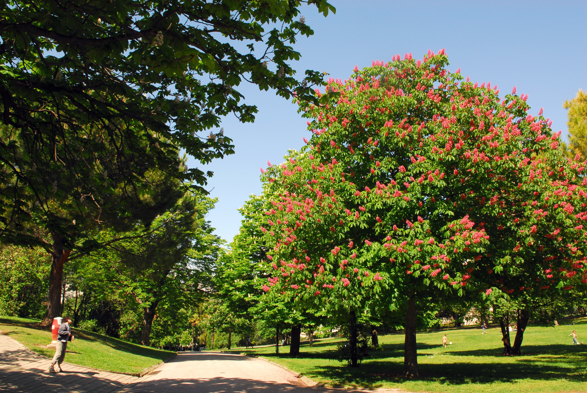 Parc Saint-Cyr, Marseille 10e Arrondissement - photo 2