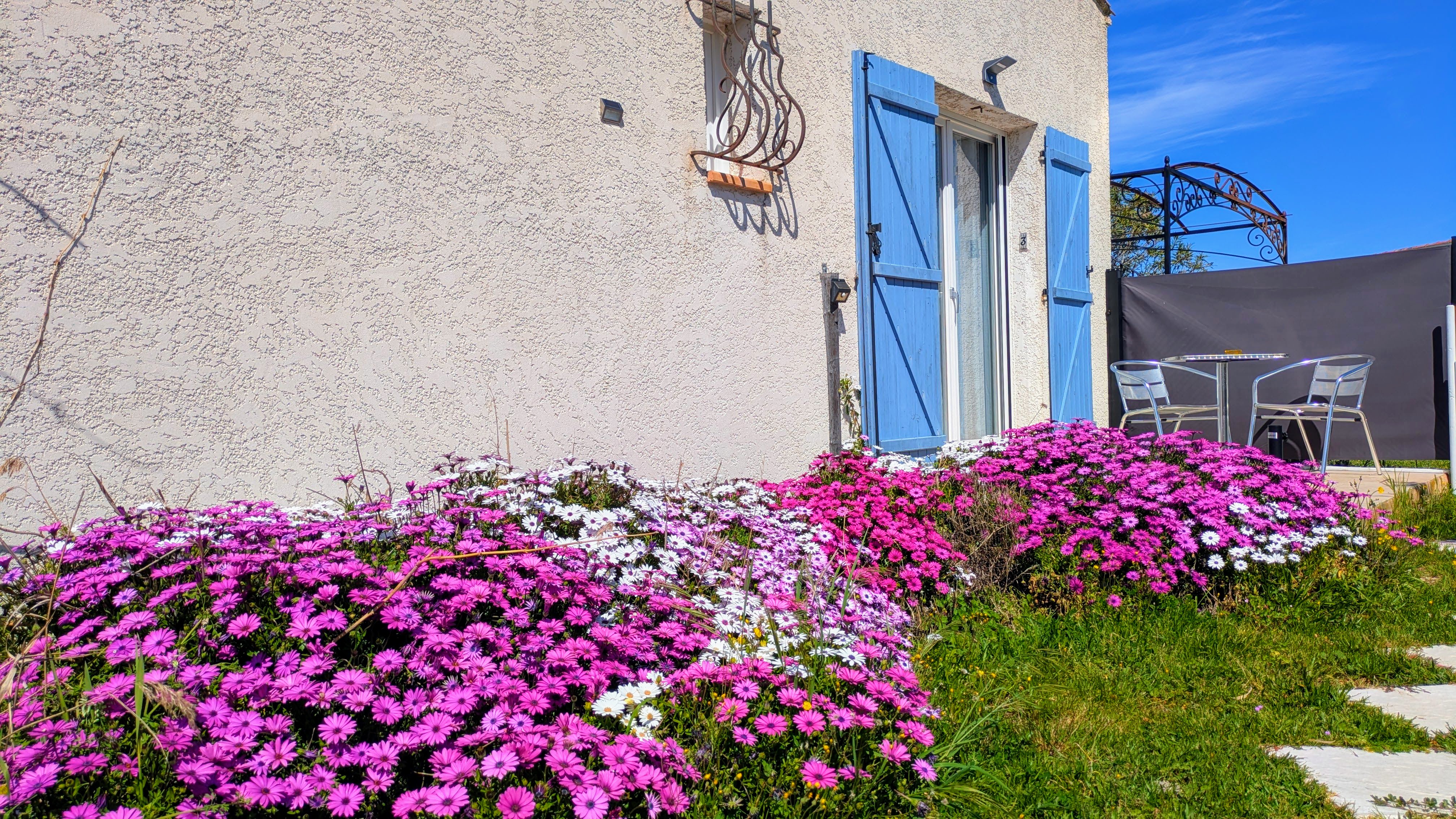 PXL_20250330_123231147-EFFECTS