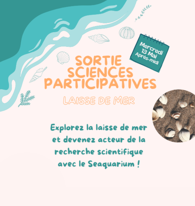Sciences participatives : partez à la découverte de la laisse de mer avec le Seaquarium Institut Marin