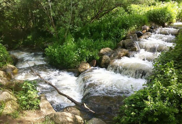 Les gorges de l'Artière