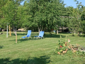 jardin