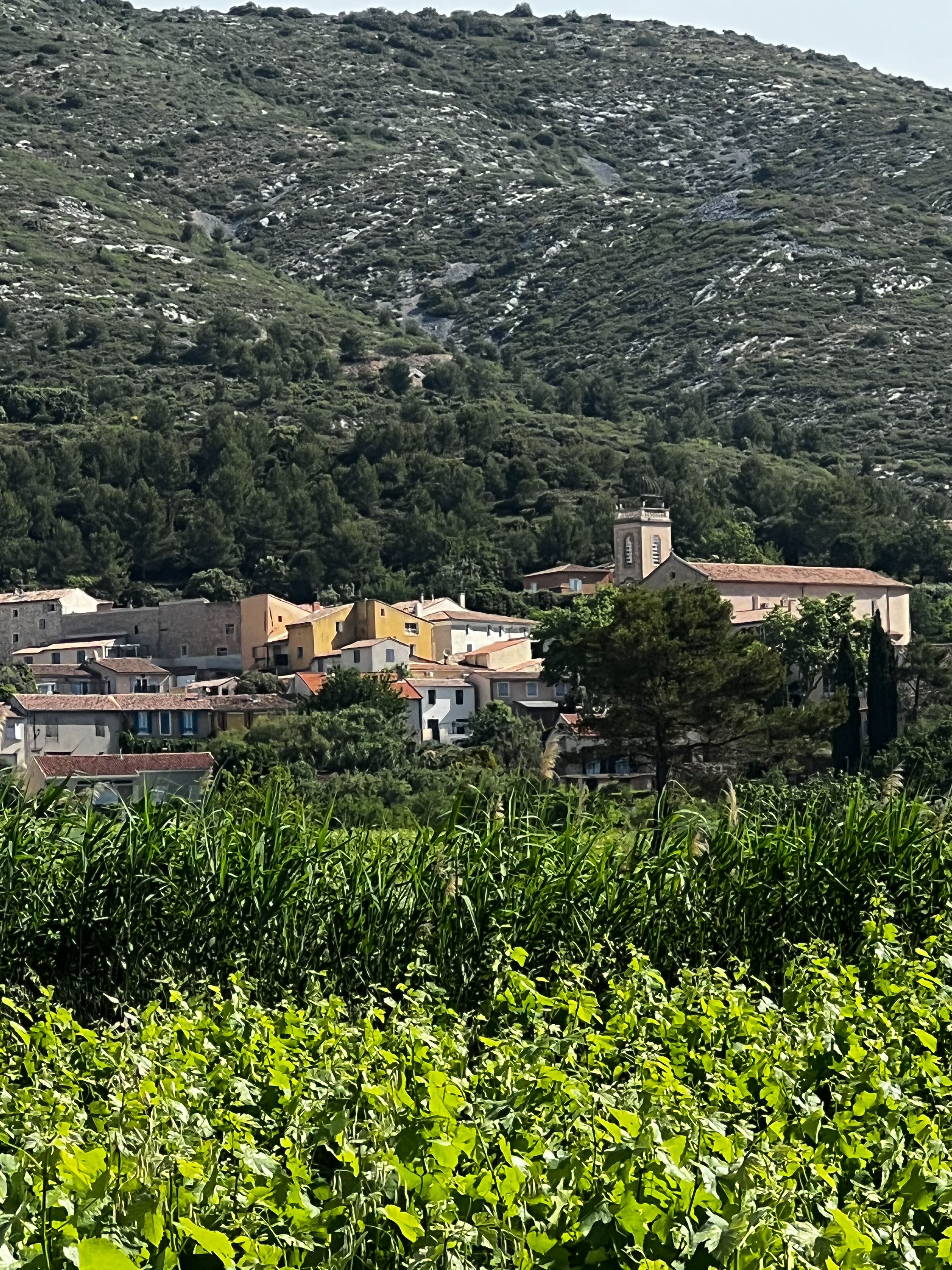 Randonnée au Domaine Capitaine Danjou