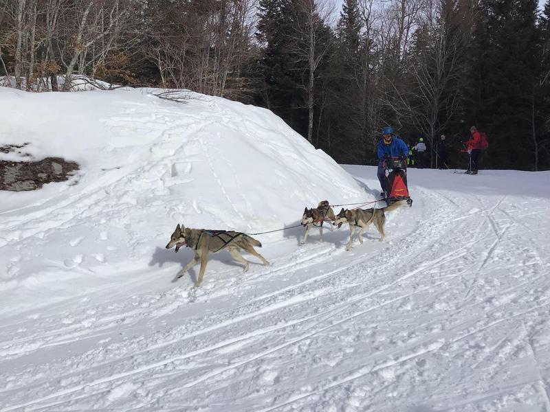Conduite d'Attellage