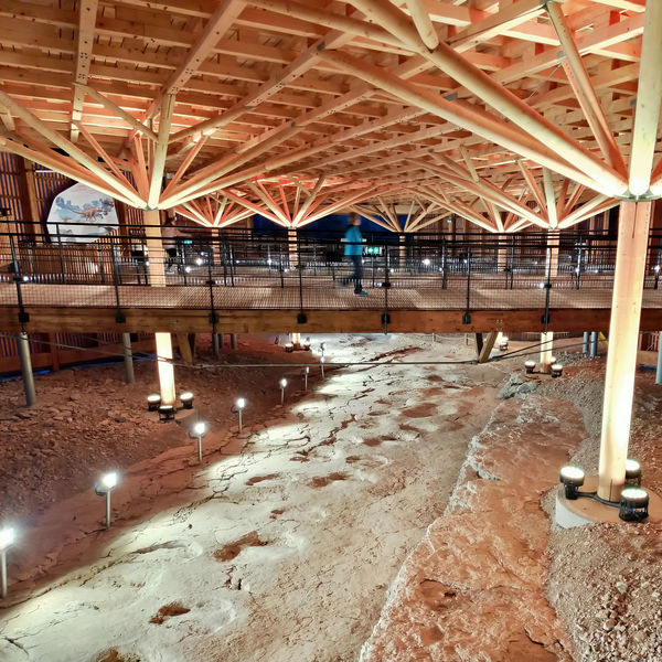 Dinoplagne® : dinosaure