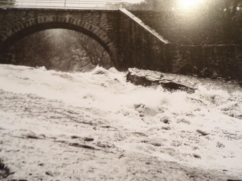 Expo "Au fil du lauzon" Du 1 au 31 mars 2025