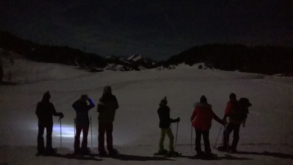 Snowshoeing - Wild goose chase and fondue !