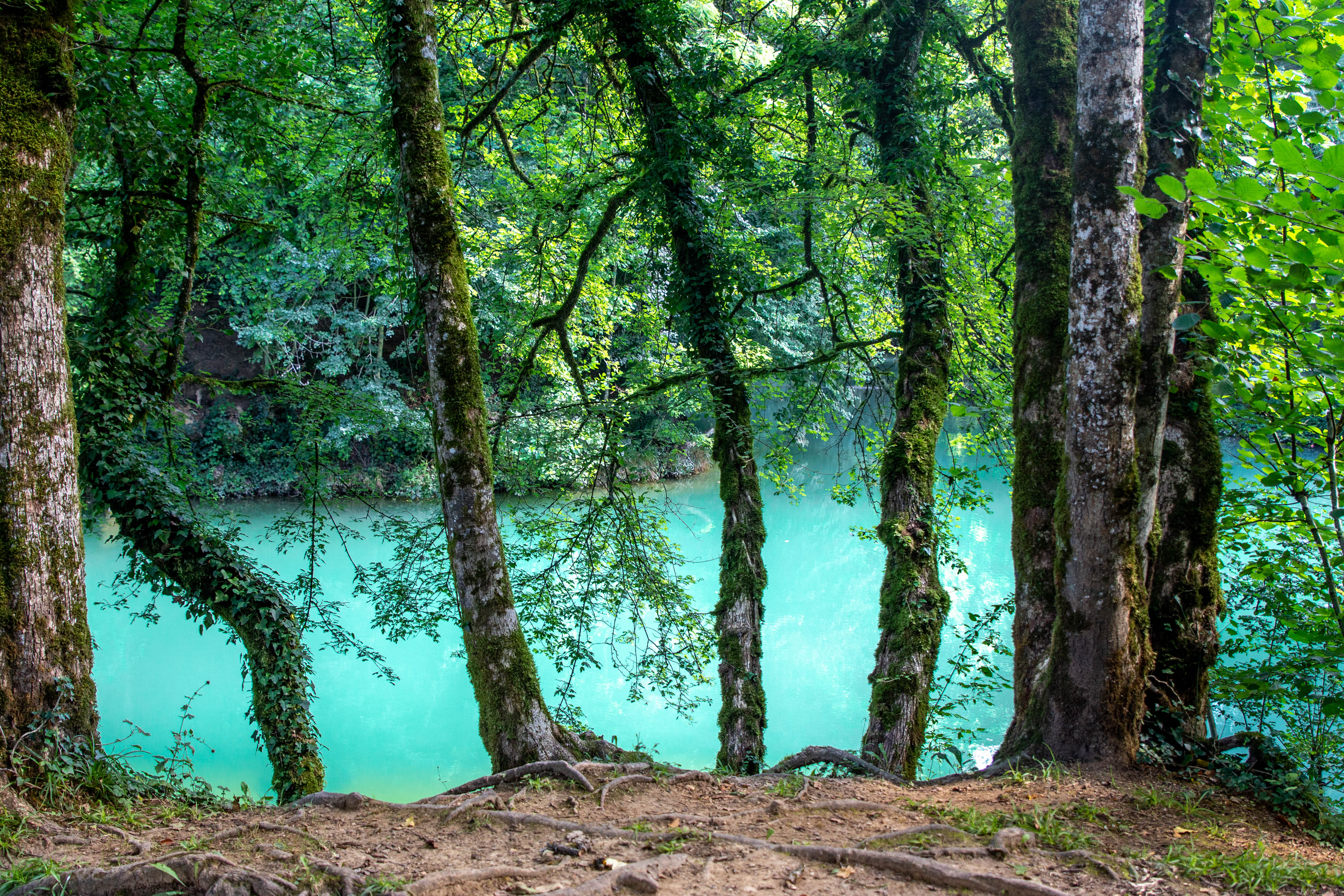 Lac bleu-forêt-Balade de Vareilles_Marilou Perino-3