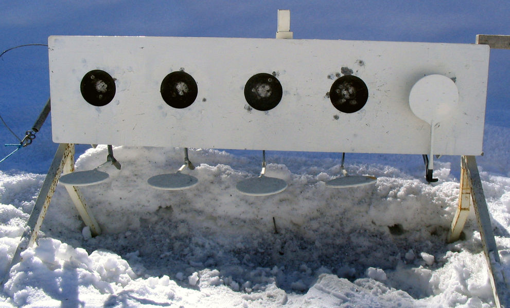 Pas de tir de biathlon 1