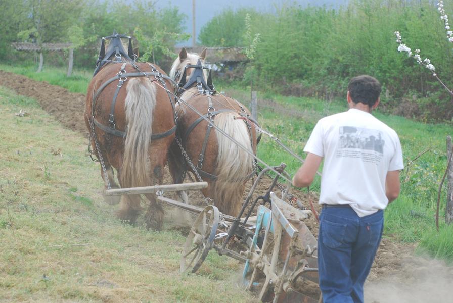 Le Château partagé_Dullin