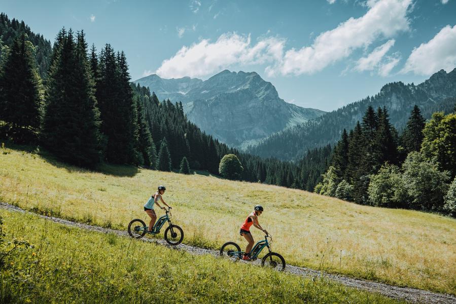 Trottinette électrique  découverte des alpages et du lac de Vallon