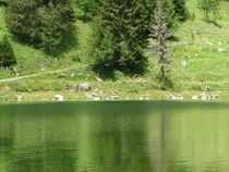 Randonnée et pêche au lac de Fontaine