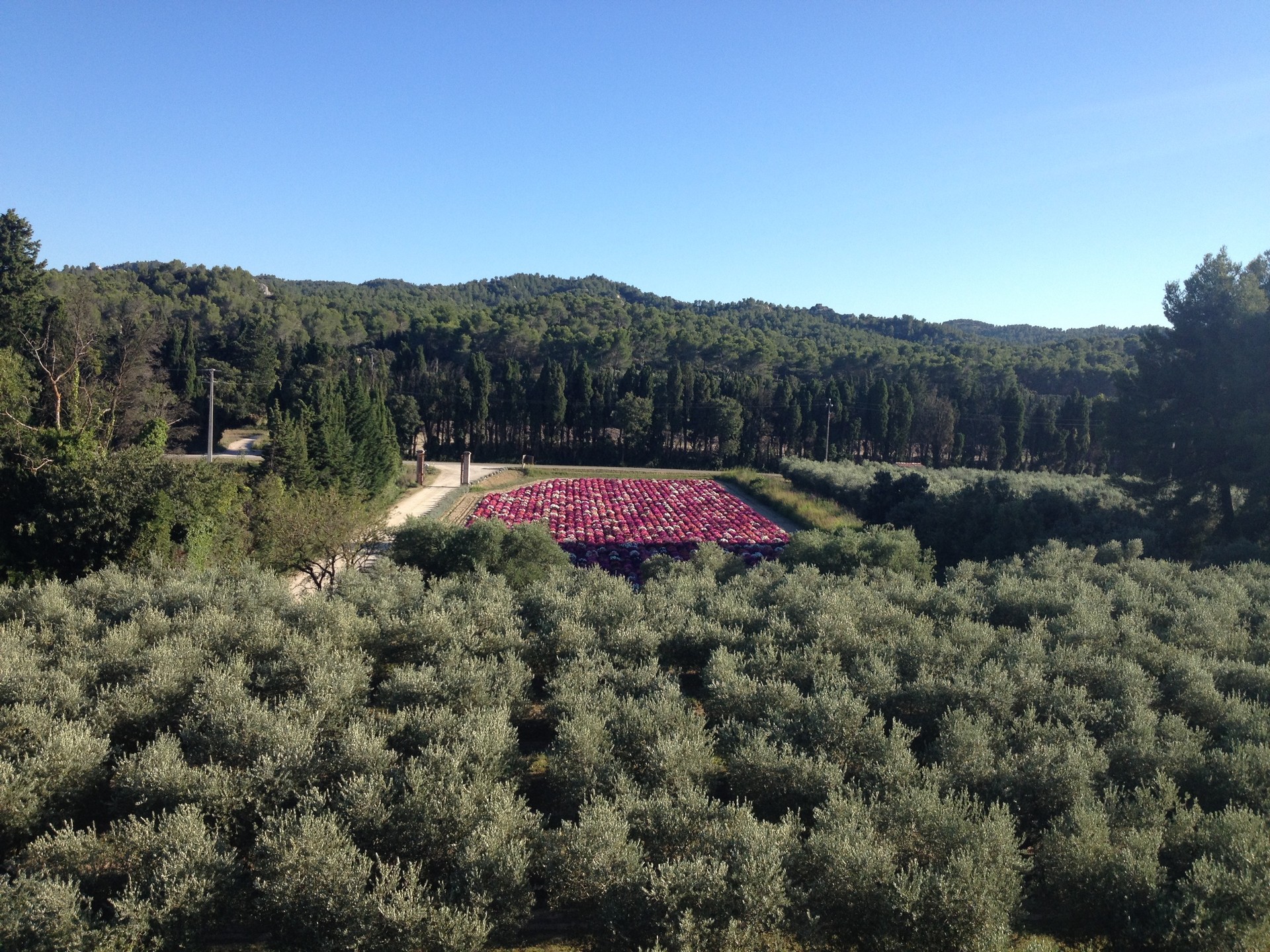 Moulin du Calanquet — photo 2