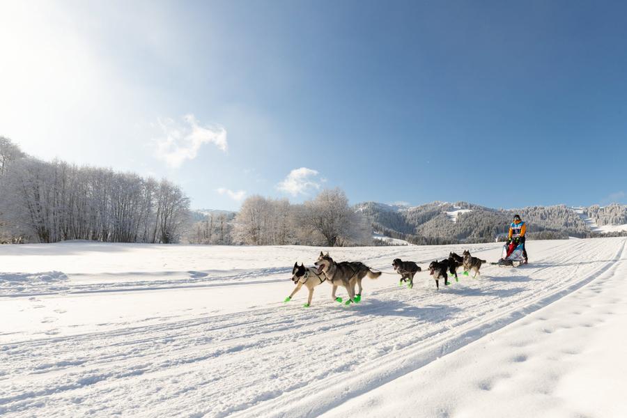 La Grande Odyssée Royal Canin : 3ème étape_Les Déserts