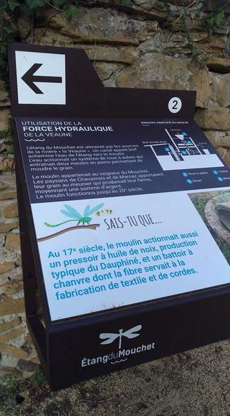 Etang du Mouchet _ Chavannes_ @Stephanie Veyret