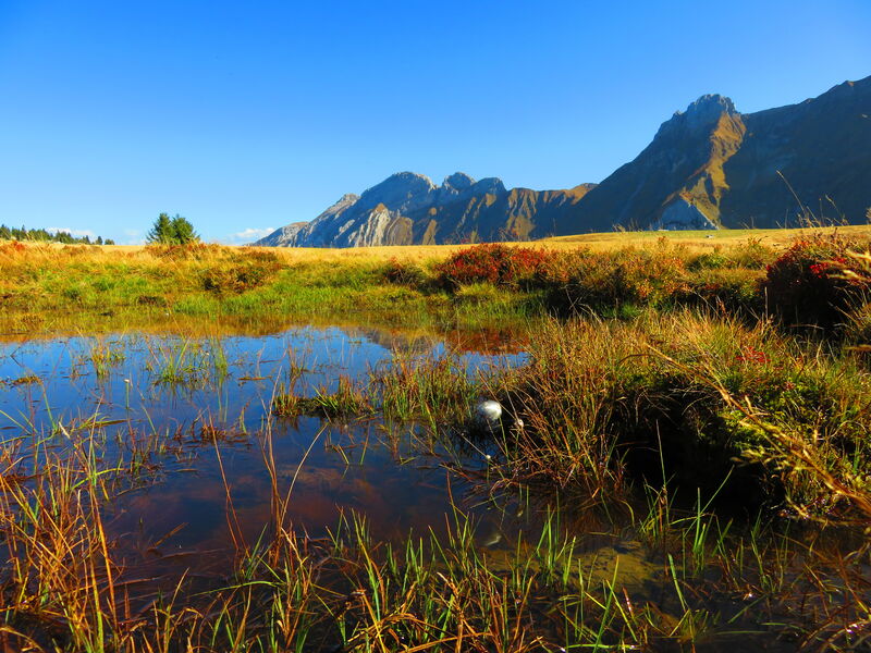 Les Rochers de Leschaux