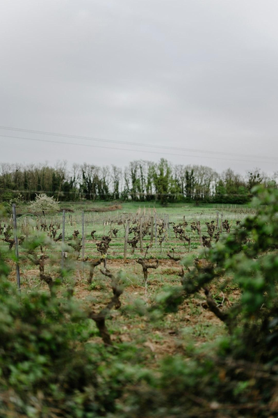 Le banquet des sens_Saint-Vincent-de-Barrès