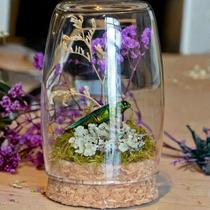 Atelier insectes_Arcon