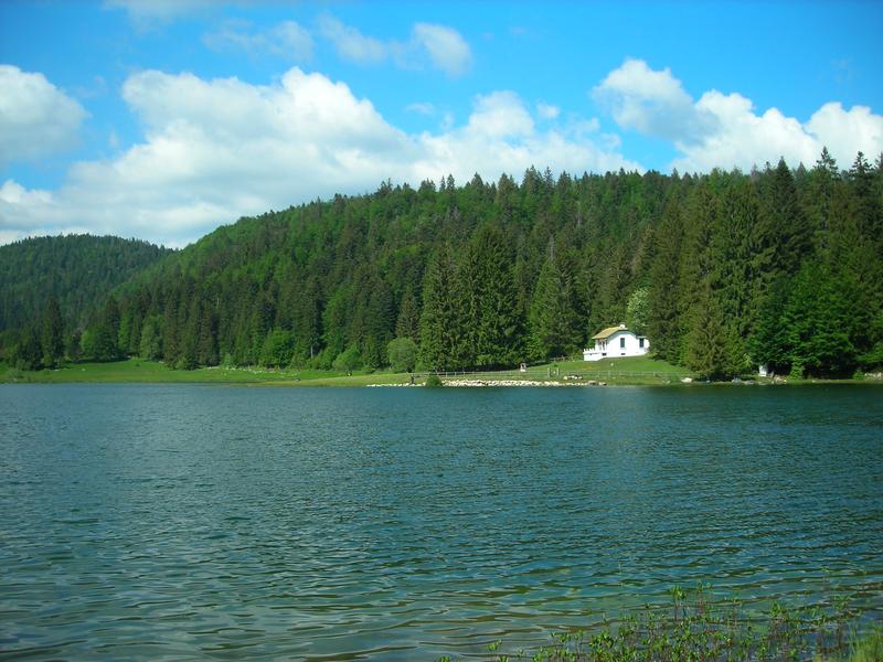 Lac Genin