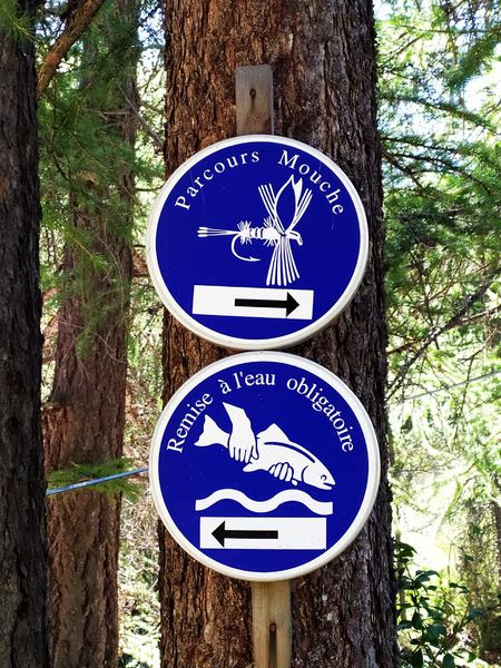 Hautes Alpes clarée pêche