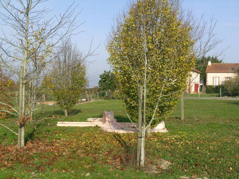 Gite Les Theilles à st Plaisir dans l'Allier en Auvergne, le mini golf