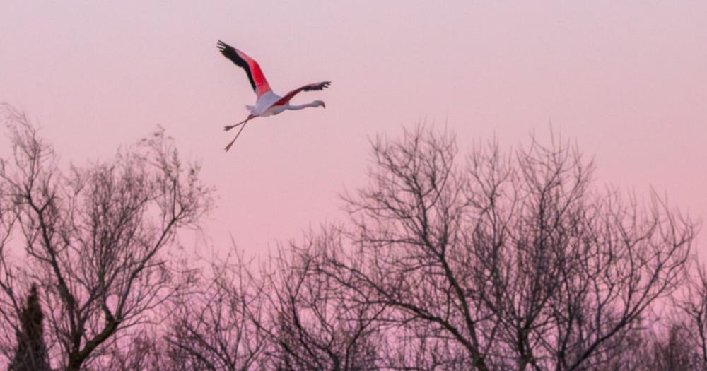 La journée des Métiers d'Arts_Bormes-les-Mimosas
