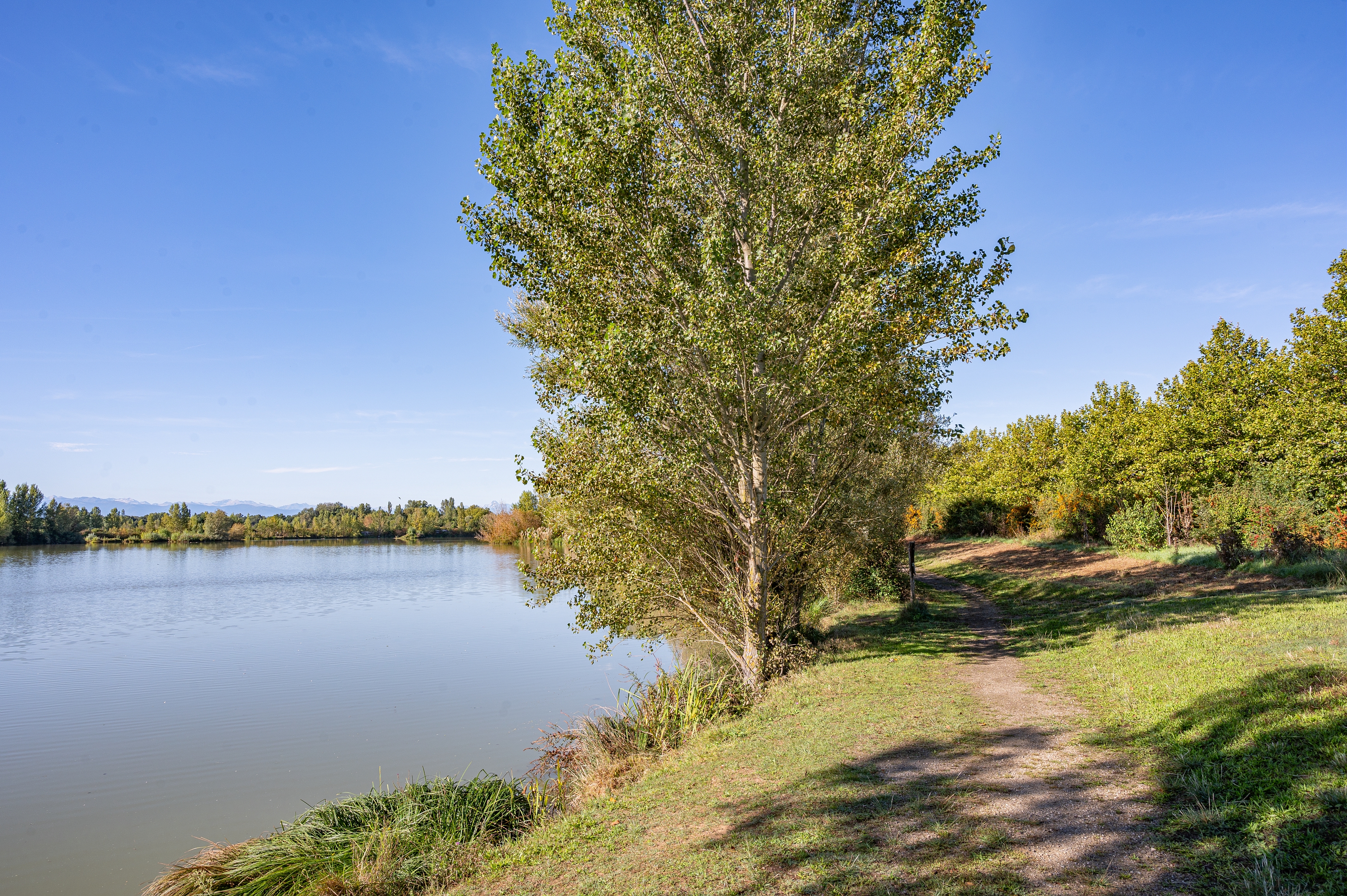 Etang du domaine des oiseaux