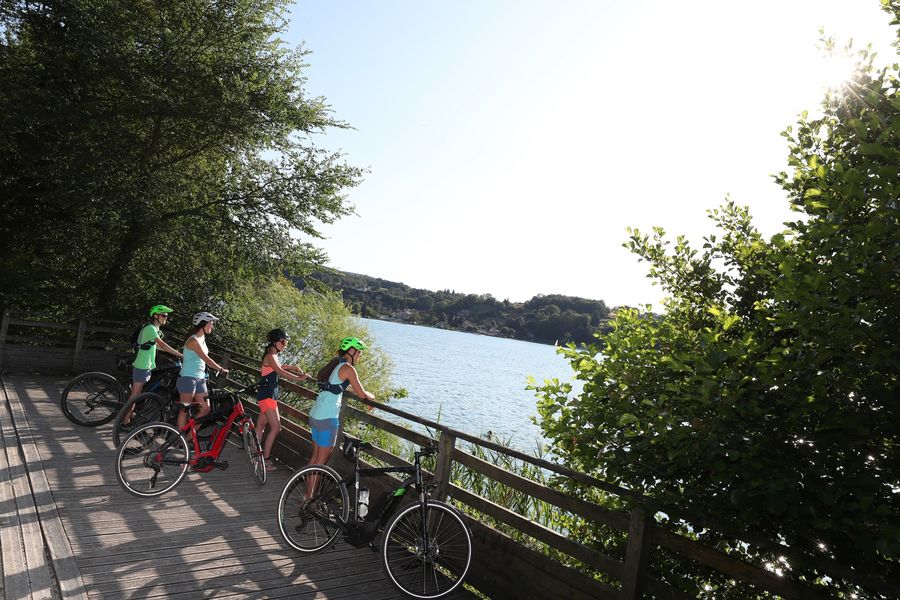 Plateforme du bois d'amour